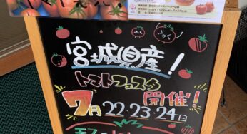 船釣り中止・・・